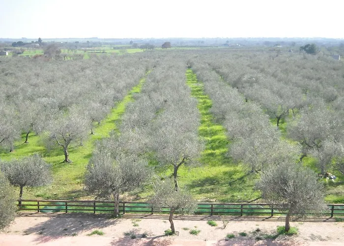 Flora 4* סנטרמו אין קולה