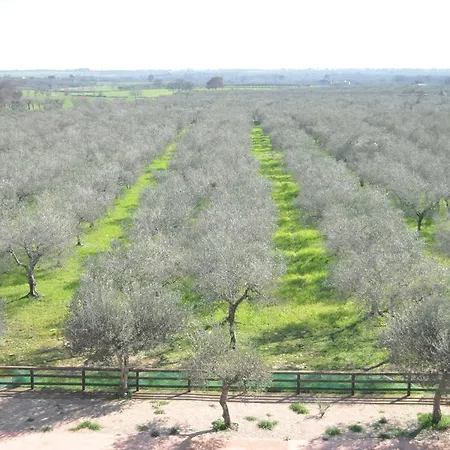 Flora 4* سانتيرامو إن كولي